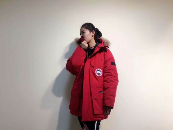 canada goose-009